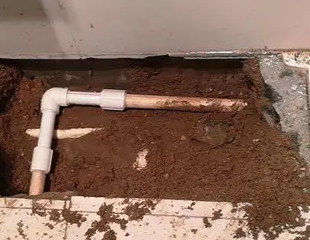 晋州测漏水哪家好