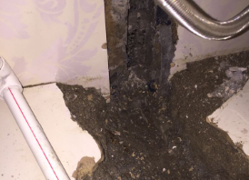 晋州卫生间测漏水哪家好